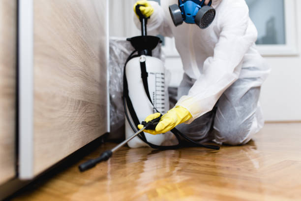 Best Pest Inspection Near Me  in Mulvane, KS
