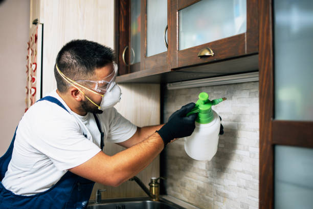 Best Commercial Pest Control Services  in Mulvane, KS