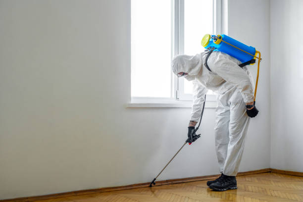 Best Exterminator Services  in Mulvane, KS